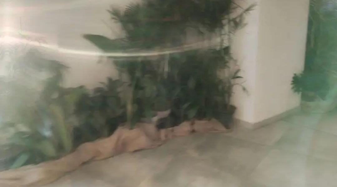 Shop available for sale-shop for sale in Rawalpindi GT Road