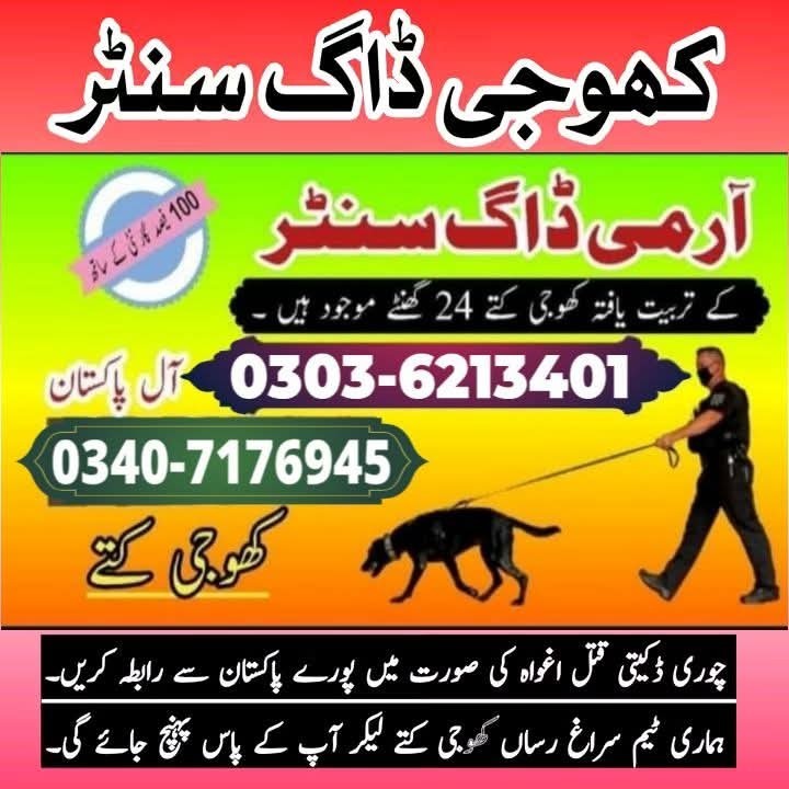 Army Dog Center Faisalabad 03036213401 KhojiKutta contact number
