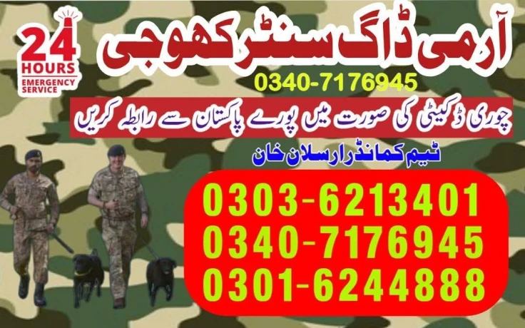 Army Dog Center Attock 03407176945 KhojiKutta contact number